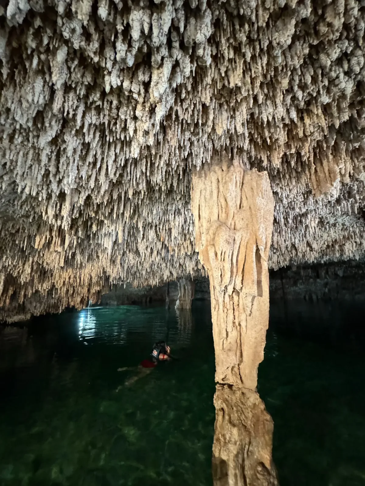 Exclusive Private 3 Cenotes Tour with Mayan Lunch - Image 11