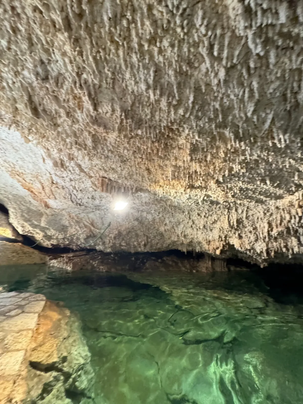 Exclusive Private 3 Cenotes Tour with Mayan Lunch - Image 8