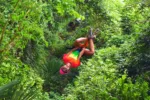 Double Rider Combo ATV, Cenote & Zip Line Tour - Image 18
