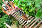 Double Rider Combo ATV, Cenote & Zip Line Tour - Image 17