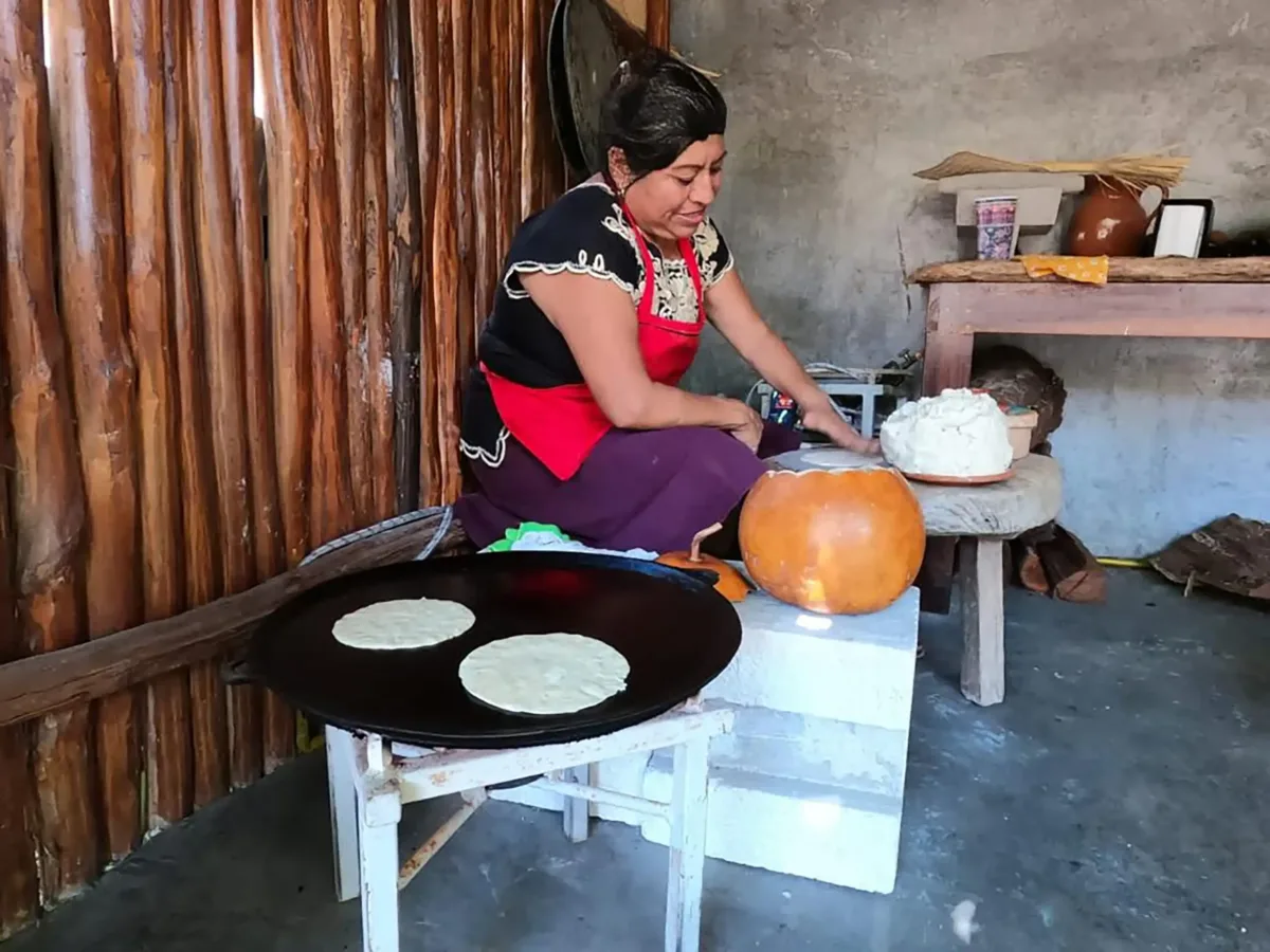 Puerto Morelos City & Taco Tour - Image 11