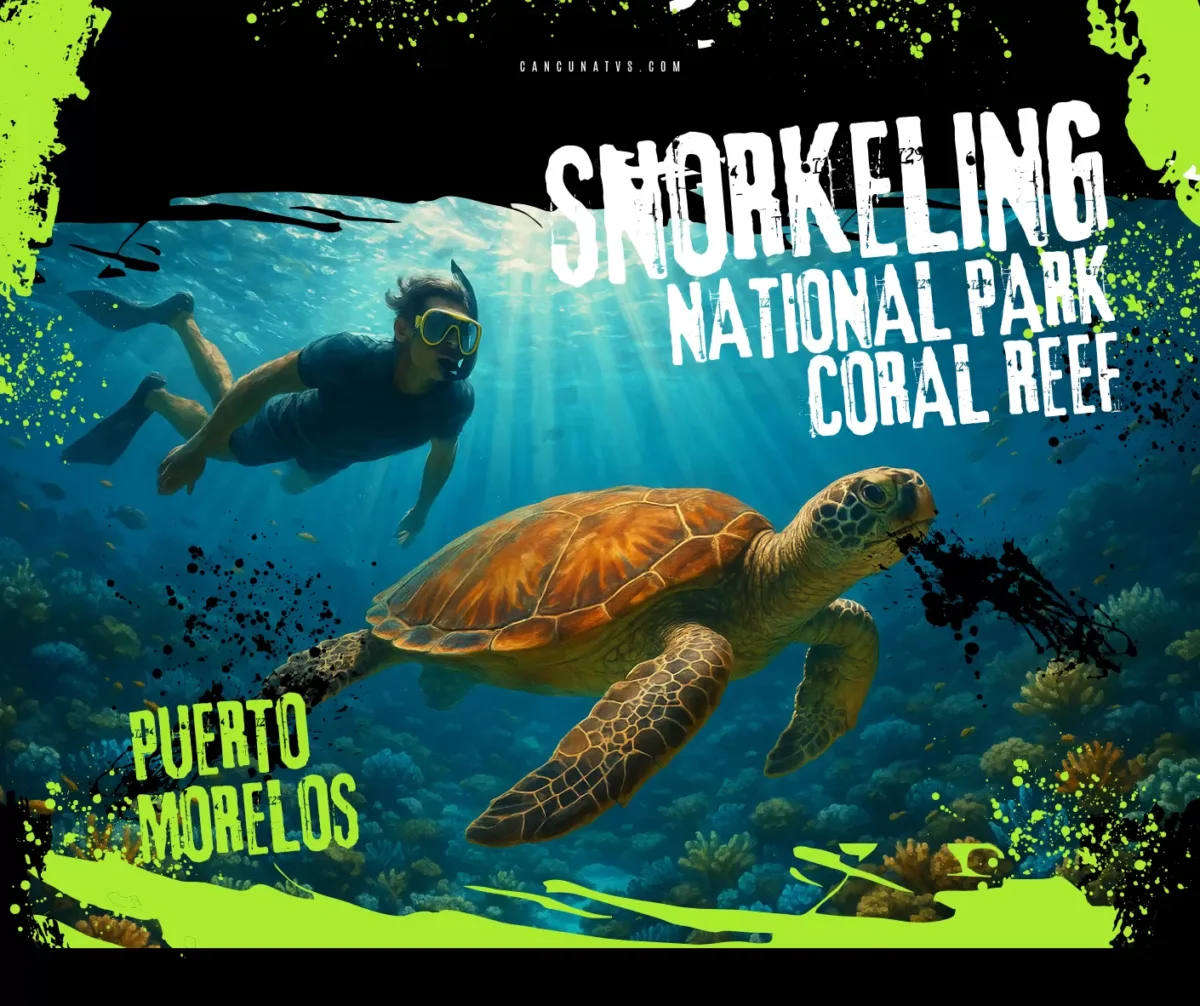 Puerto Morelos Reef Snorkeling & Town Discovery - Image 1