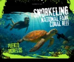 Puerto Morelos Reef Snorkeling & Town Discovery