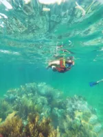 Puerto Morelos Reef Snorkeling & Town Discovery - Image 3