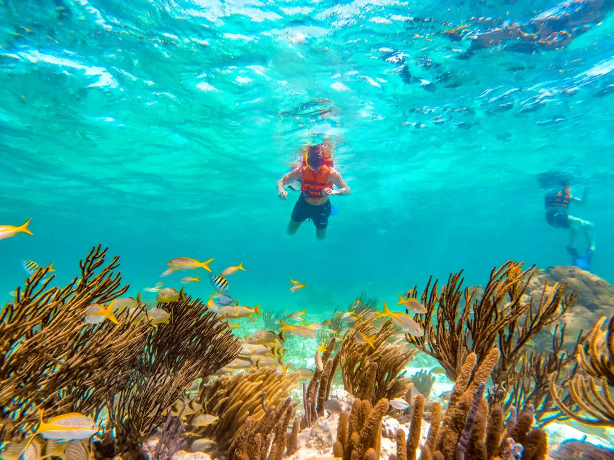 Puerto Morelos Reef Snorkeling & Town Discovery - Image 5