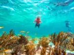 Puerto Morelos Reef Snorkeling & Town Discovery - Image 5