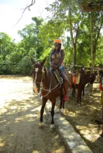 Ultimate Combo: Horseback, ATV, Ziplines & Cenote Tour - Image 29